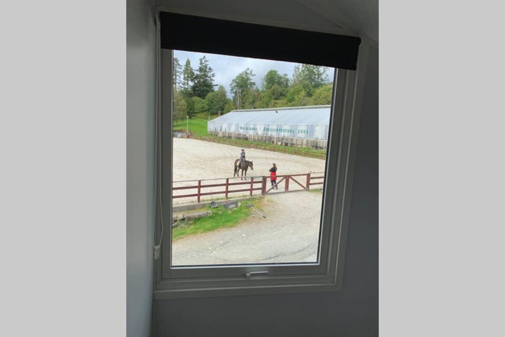 Moldegaard Riding Lodge Moldegard Екстериор снимка